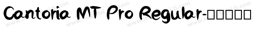 Cantoria MT Pro Regular字体转换